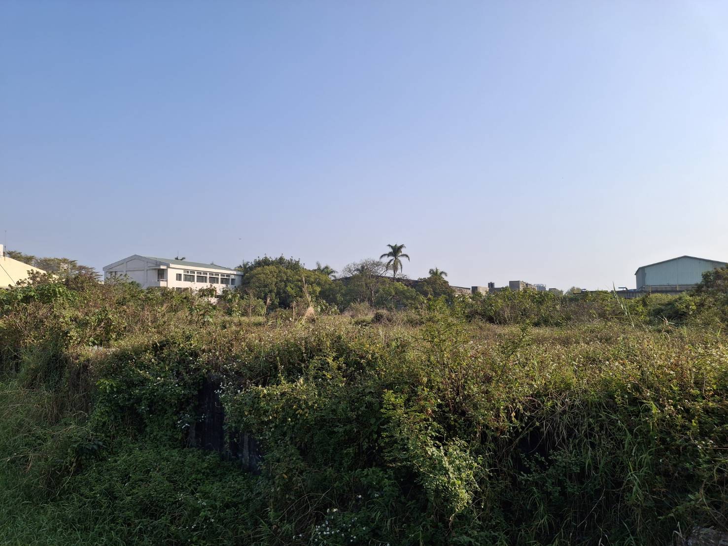 台南市，麻豆區-麻豆工業區租售物件照片第2張