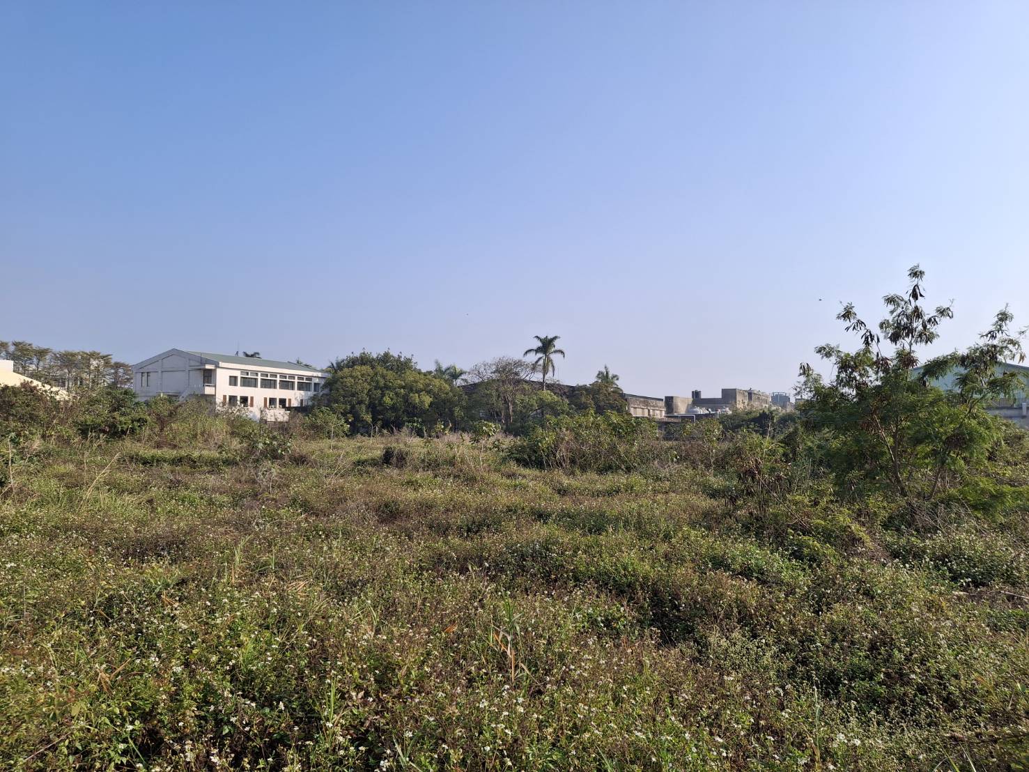 台南市，麻豆區-麻豆工業區租售物件照片第3張