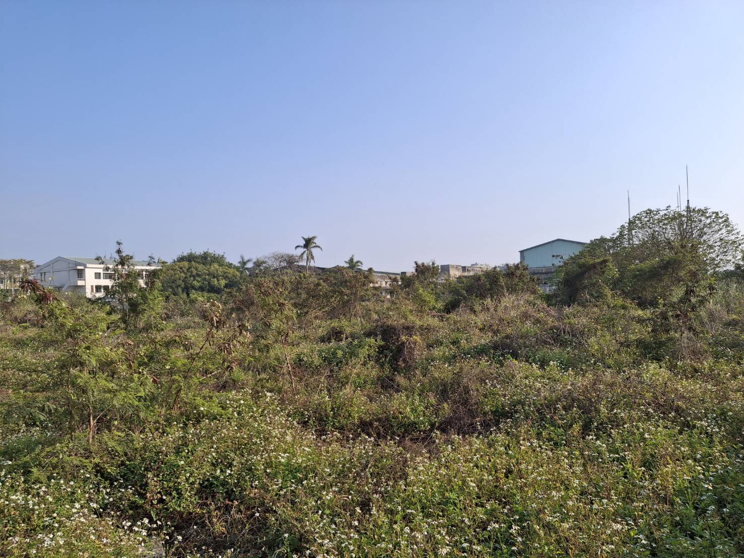台南市，麻豆區-麻豆工業區租售物件照片第4張