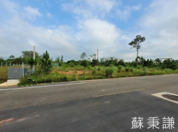 桃園市大園區其他工業用地
