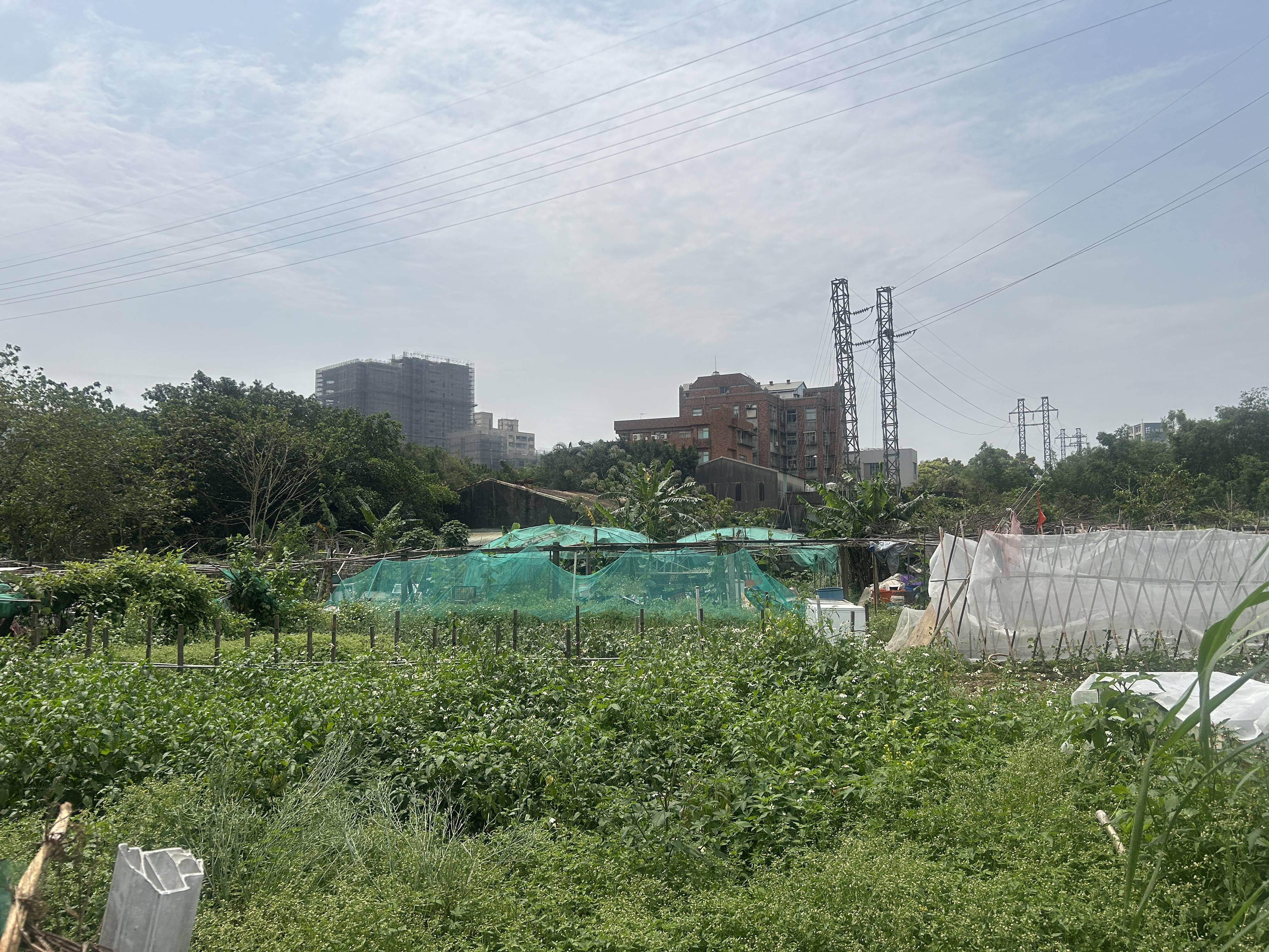 新北市土城區其他工業用地