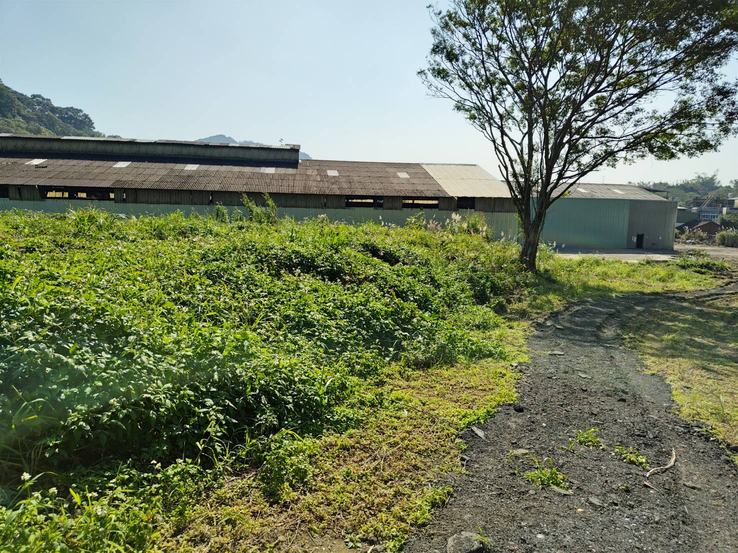 新北市鶯歌區其他工業用地
