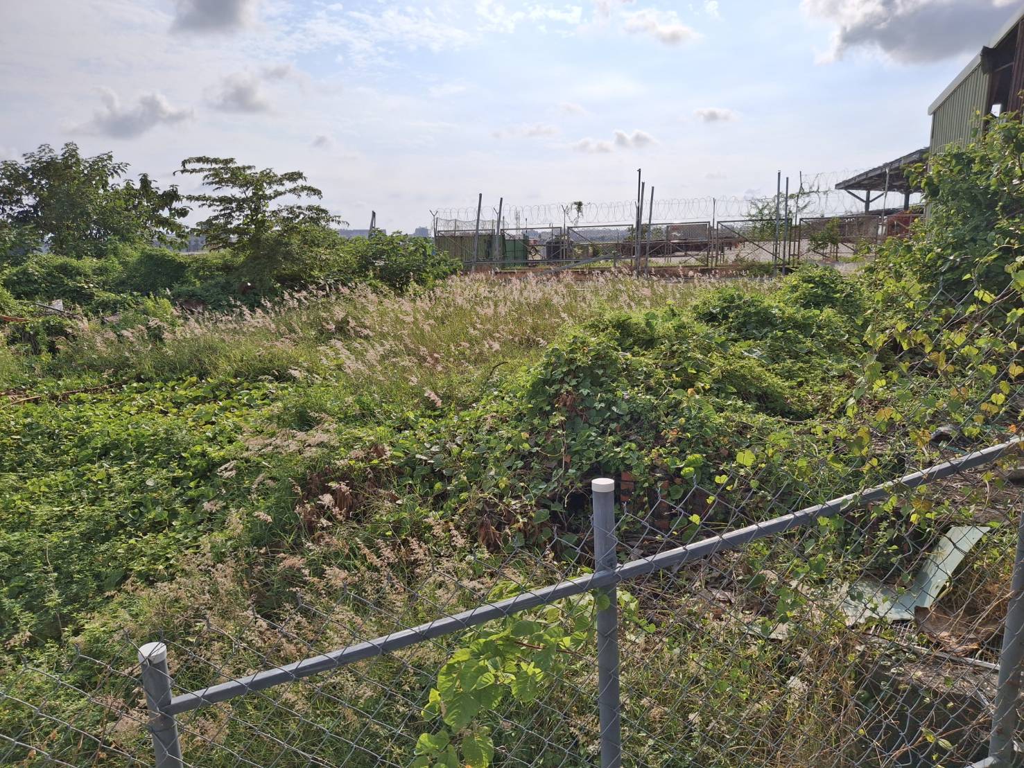高雄市-其他工業用地租售物件照片第8張