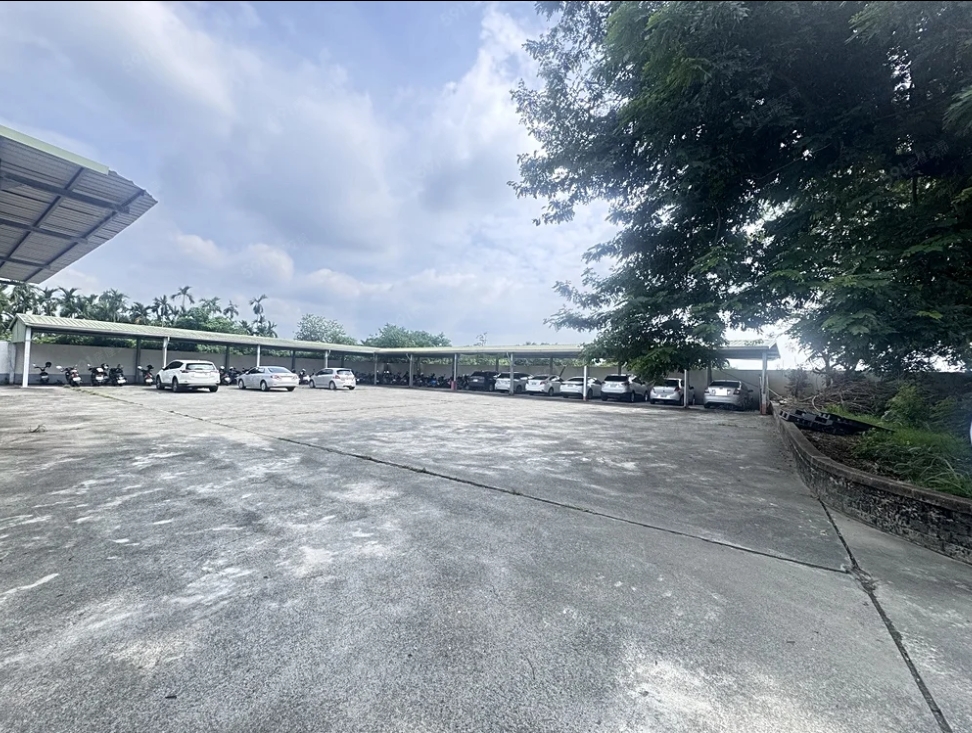 屏東縣-其他工業用地租售物件照片第4張