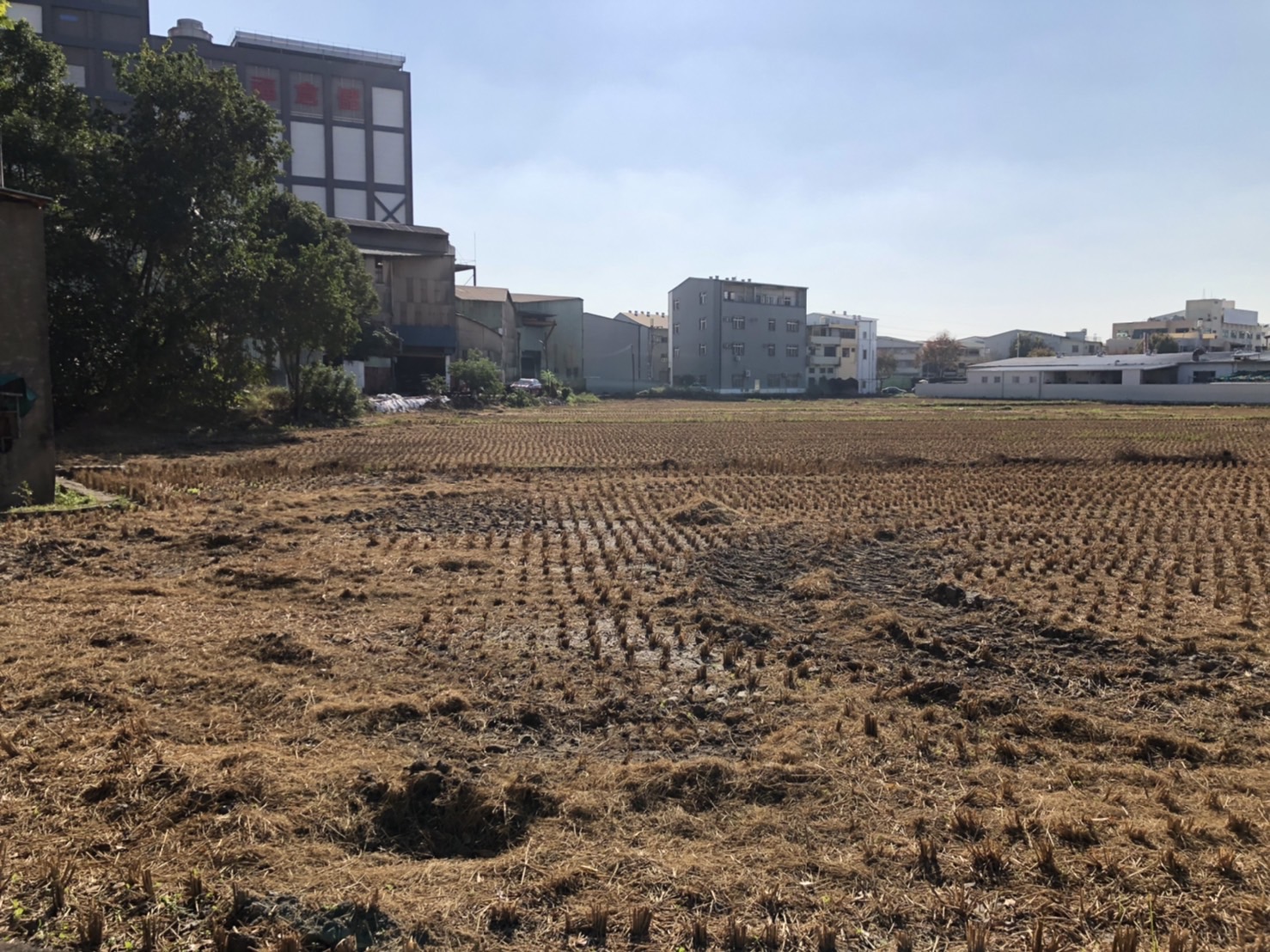 其他工業用地[台中市烏日區光明路]
