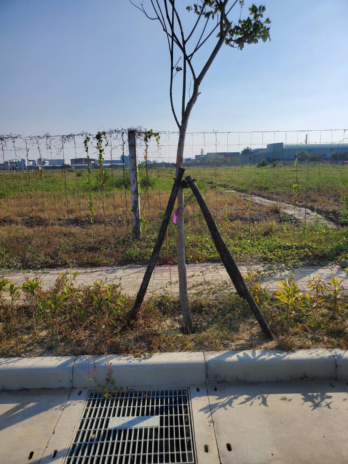 麻豆工業區[台南市麻豆區麻柚二路]