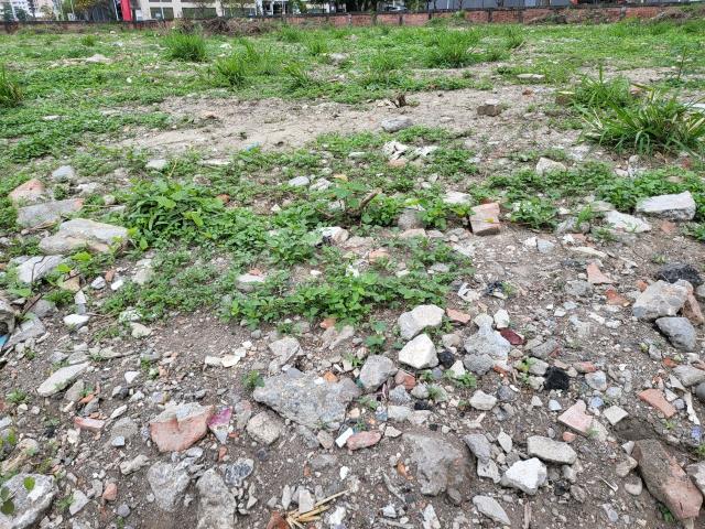 其他工業用地[高雄市梓官區八德路]