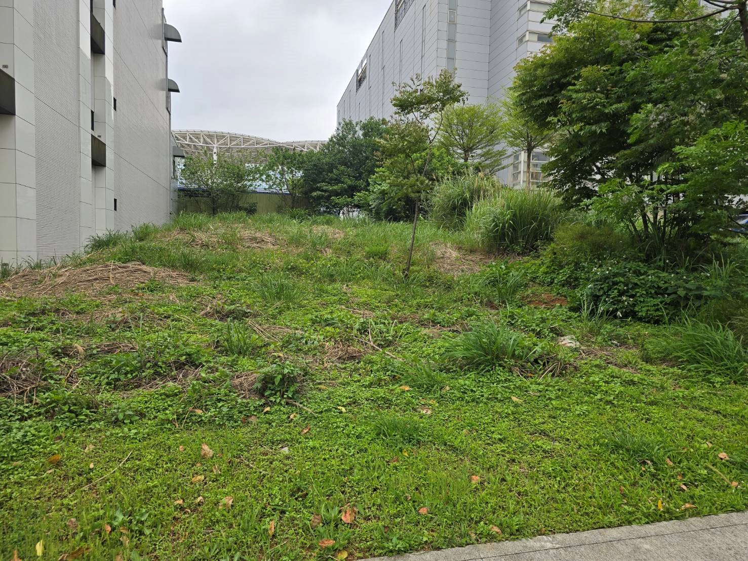 其他工業用地[桃園市龜山區科技一路]