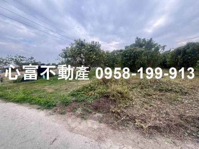 其他工業用地[台南市麻豆區新生南路]