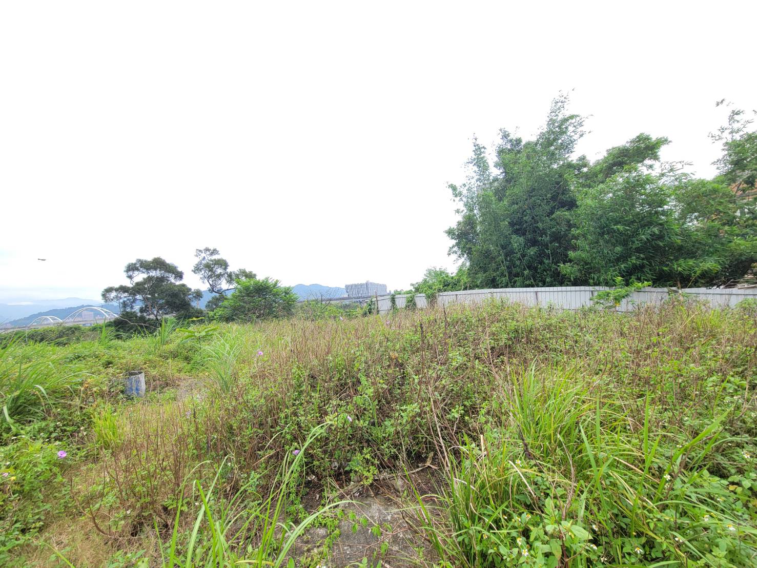 其他工業用地[EB0619 捷運乙工附建照~住商樹林中正加盟店]