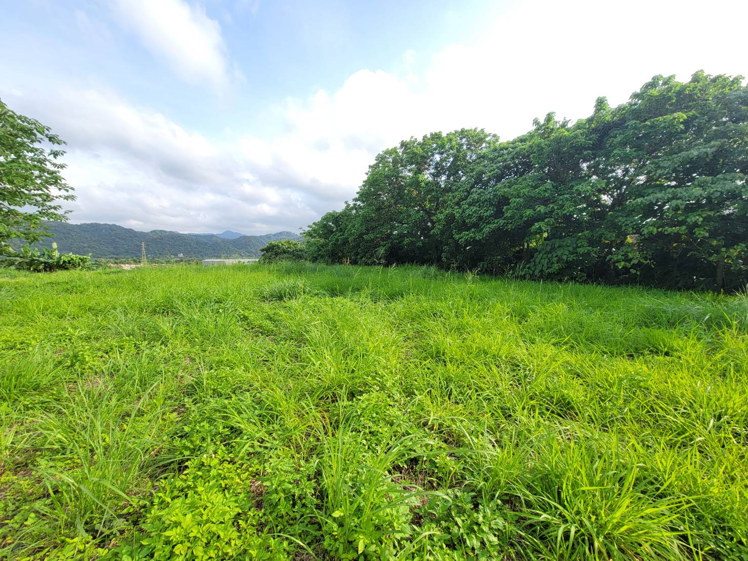 其他工業用地[EB0519 鶯歌高職丁建~住商樹林中正加盟店]