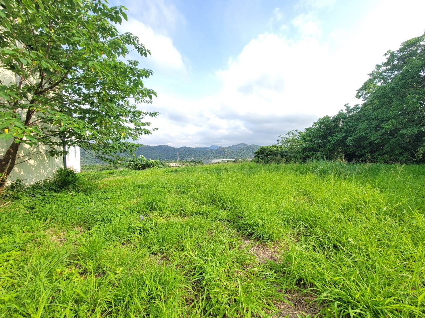 新北市-其他工業用地租售物件照片第3張