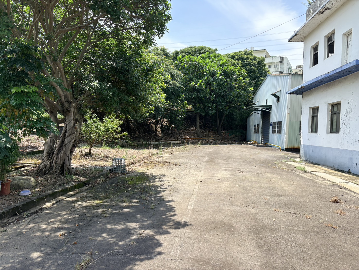 桃園市-其他工業用地租售物件照片第3張
