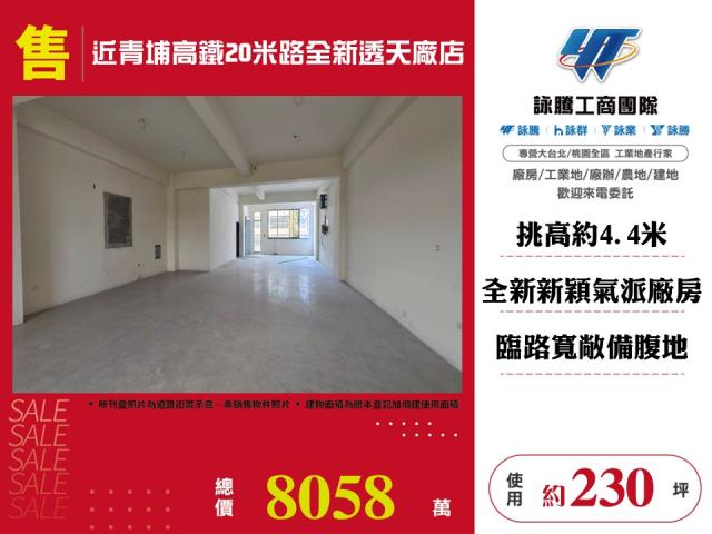 其他工業用地[近青埔高鐵20米路全新透天廠店170]